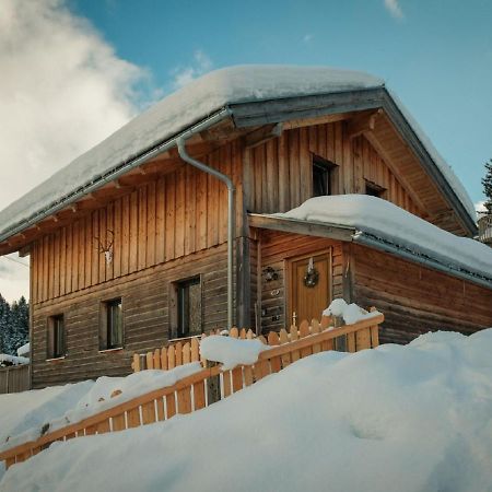 Chalet In Annaberg-Lungotz With Terrace Βίλα Εξωτερικό φωτογραφία